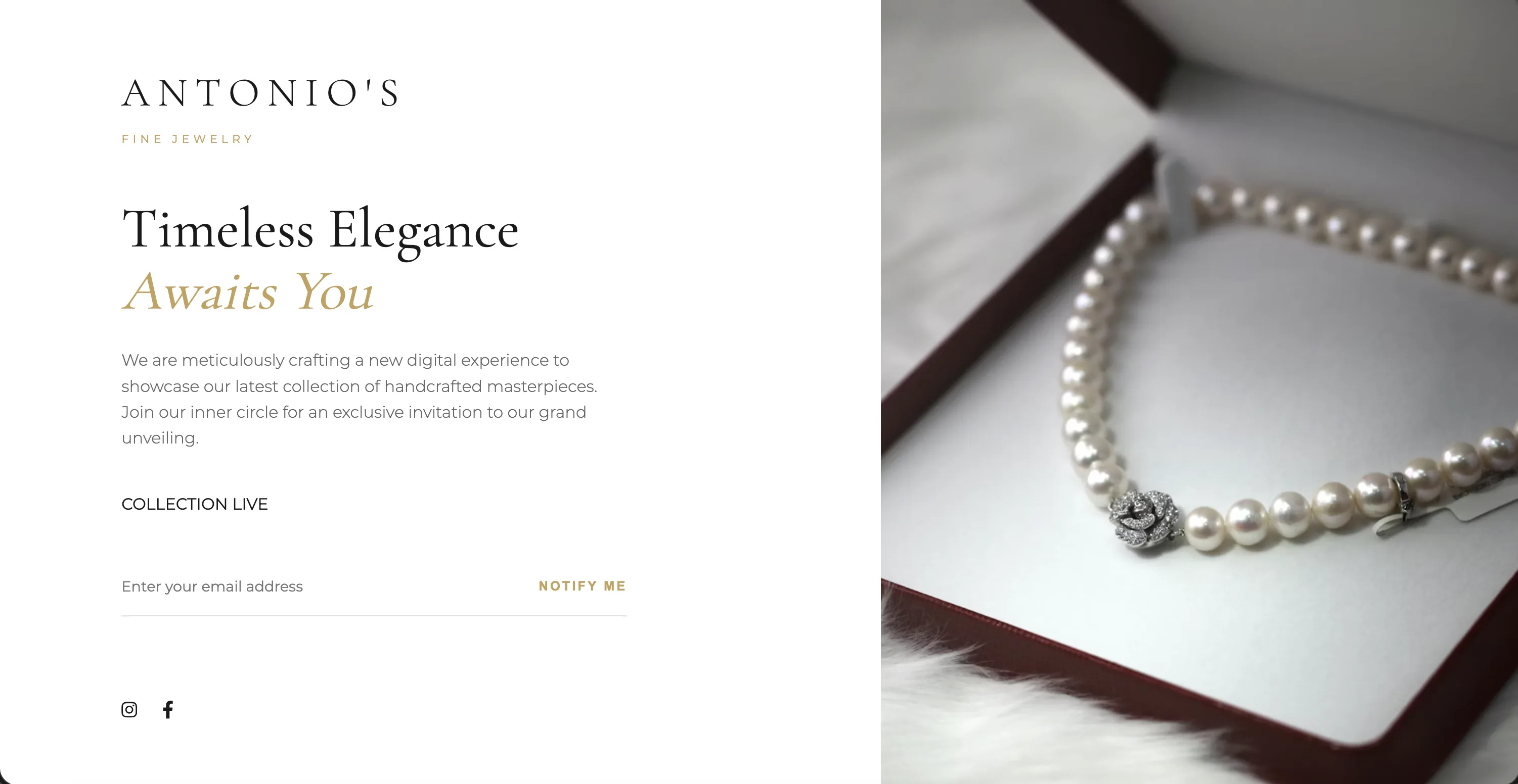 A coming soon page generated for a jewellery store, with an email signup form.